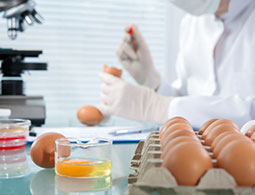 Laboratoire Qualite Alimentaire