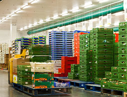 Stockage Alimentaire Entrepot